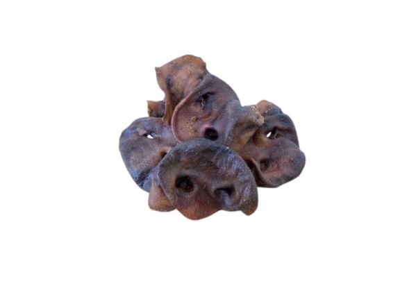 Pork Snout Pieces