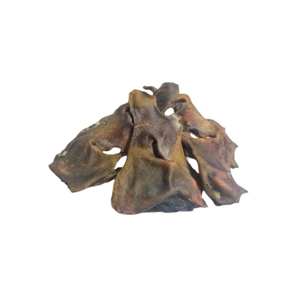 Cow Nose