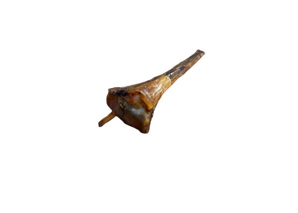 Ostrich Metatarsus Bone